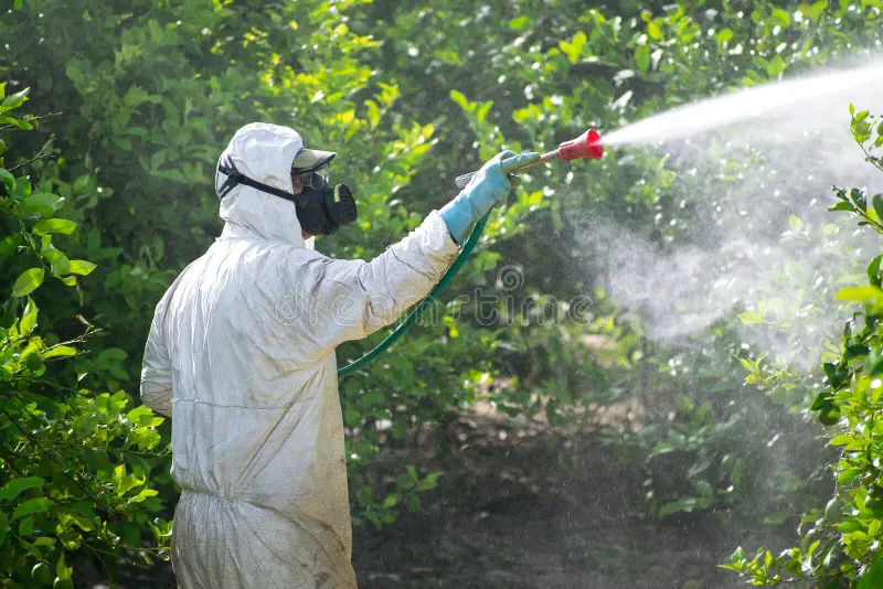 Pest Control Professionals